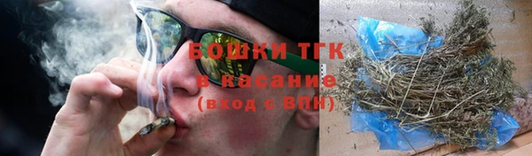 прущие грибы Алексин