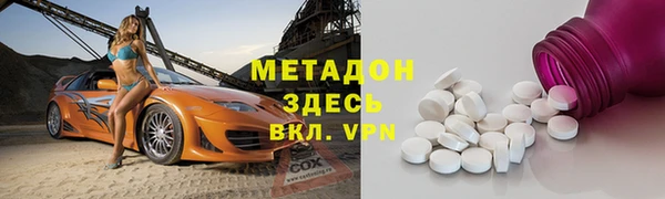 хмурый Аркадак