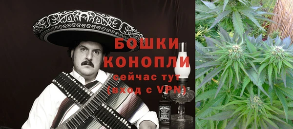 хмурый Аркадак