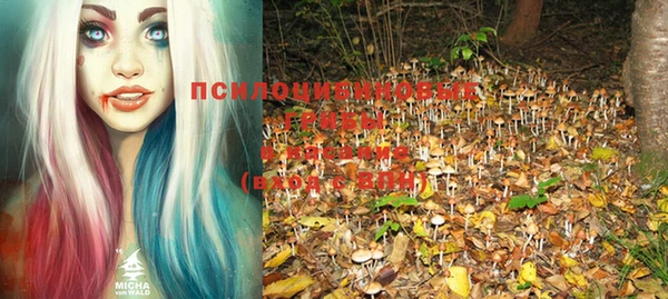 прущие грибы Алексин