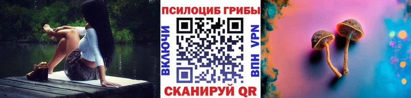 Псилоцибиновые грибы Psilocybe  где можно купить наркотик  Нарткала 