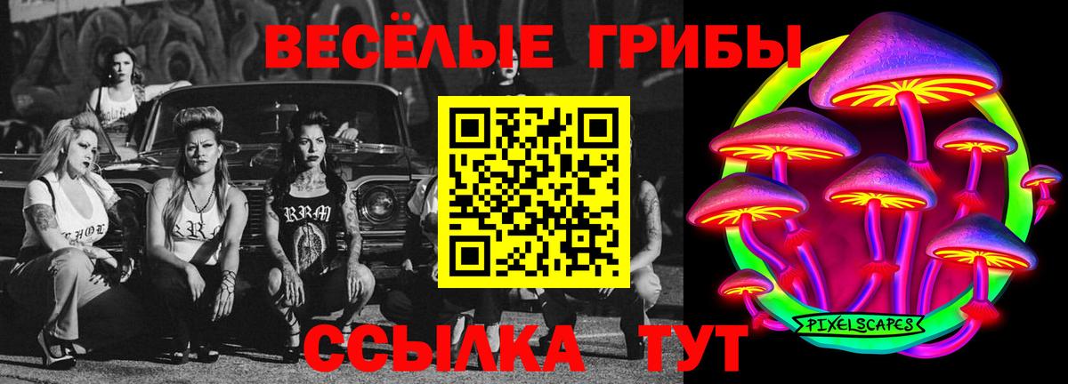 Нарткала  Галлюциногенные грибы Cubensis  Вход с VPN  Галлюциногенные грибы ЛСД 