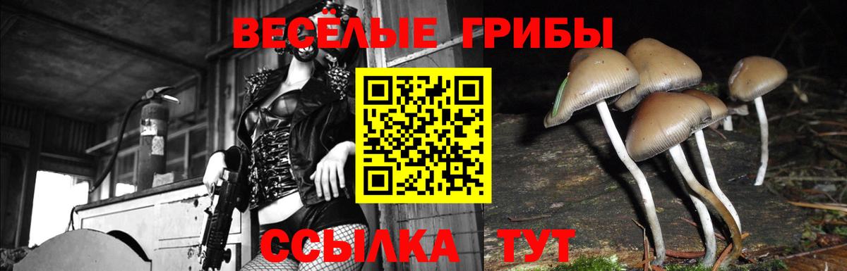 Галлюциногенные грибы MAGIC MUSHROOMS Нарткала